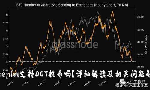 Tokenim支持DOT提币吗？详细解读及相关问题解答