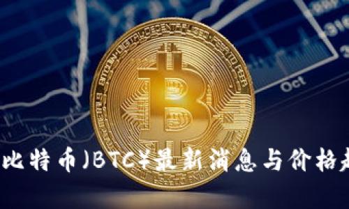 2023年比特币（BTC）最新消息与价格趋势分析