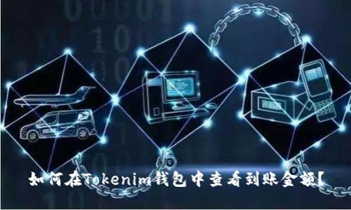 如何在Tokenim钱包中查看到账金额？