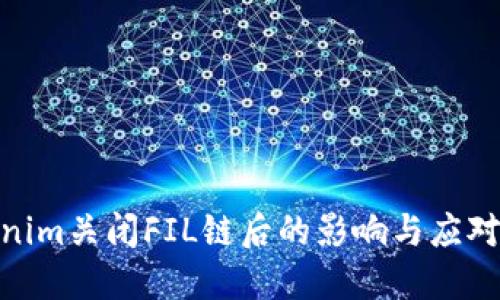 Tokenim关闭FIL链后的影响与应对措施