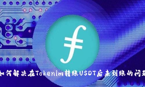 如何解决在Tokenim转账USDT后未到账的问题