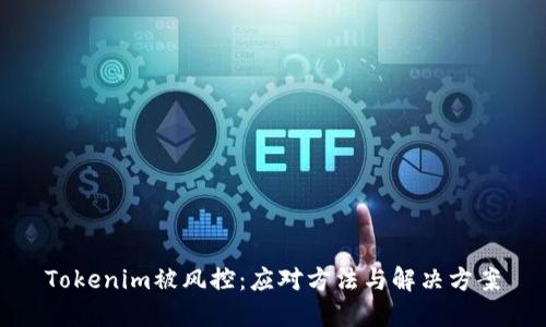 Tokenim被风控：应对方法与解决方案