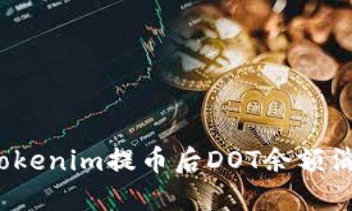 如何解决Tokenim提币后DOT余额消失的问题？