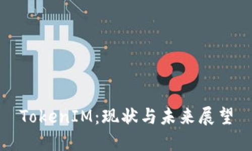 TokenIM：现状与未来展望