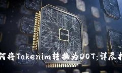 如何将Tokenim转换为DOT：详