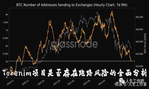 Tokenim项目是否存在跑路风险的全面分析