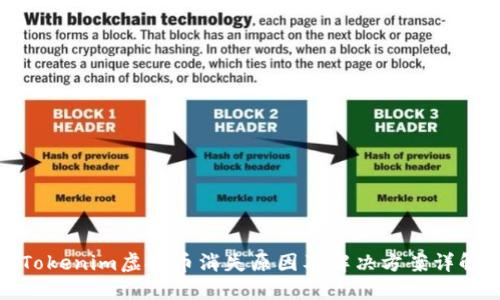 Tokenim虚拟币消失原因及解决方案详解