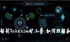 全面解析Tokenim旷工费：如