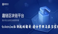 : tokenim私钥规则解析：安