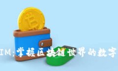 以太坊TokenIM：掌握区块链