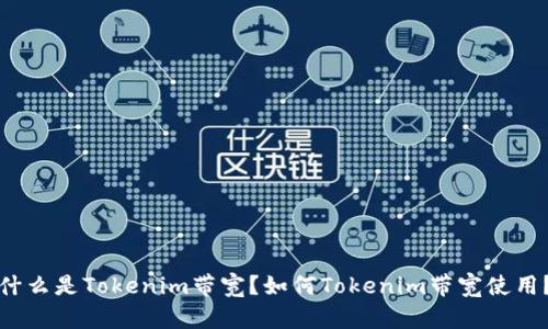 什么是Tokenim带宽？如何Tokenim带宽使用？