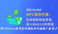 如何给Tokenim项目进行有效
