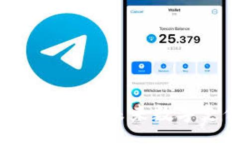 Tokenim支付代币：未来数字支付的颠覆者