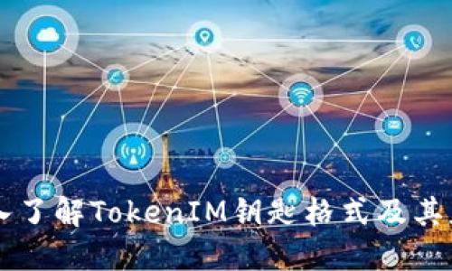 深入了解TokenIM钥匙格式及其应用