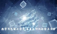 数字钱包解决方案：未来