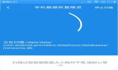 如何解决Tokenim钱包明文私
