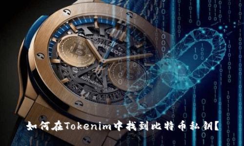如何在Tokenim中找到比特币私钥？