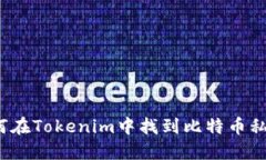 如何在Tokenim中找到比特币私钥？
