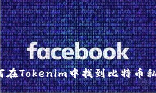 如何在Tokenim中找到比特币私钥？
