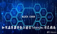 如何在苹果设备上安装T