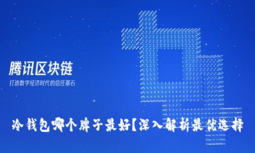 冷钱包哪个牌子最好？深入解析最优选择