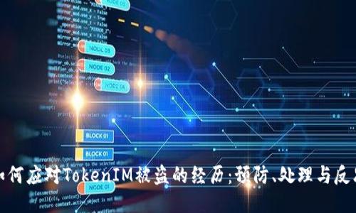 如何应对TokenIM被盗的经历：预防、处理与反思