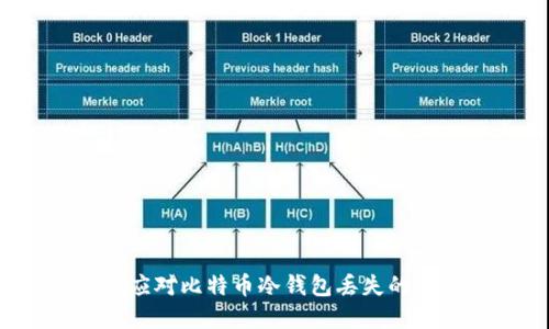 如何应对比特币冷钱包丢失的困境？