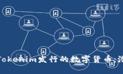 深入了解Tokenim发行的数字货币:潜力与机遇