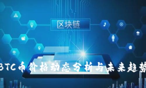 今日BTC币价格动态分析与未来趋势预测