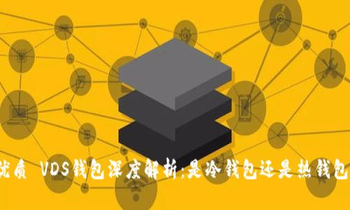 优质 VDS钱包深度解析：是冷钱包还是热钱包？