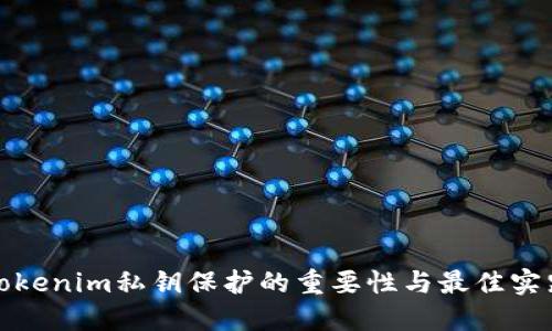 Tokenim私钥保护的重要性与最佳实践