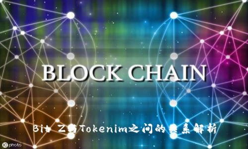 Bit Z与Tokenim之间的关系解析