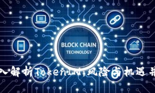 深入解析TokenIM：风险与机遇并存