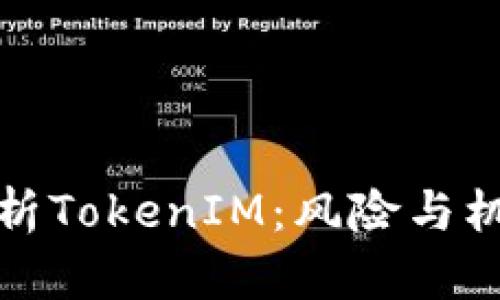 深入解析TokenIM：风险与机遇并存