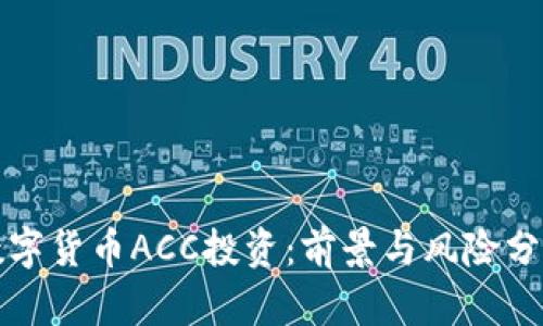 数字货币ACC投资：前景与风险分析