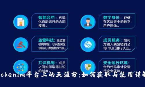 Tokenim平台上的天涯分：如何获取与使用详解