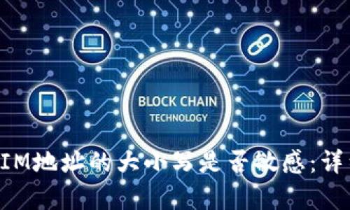 TokenIM地址的大小写是否敏感：详细分析