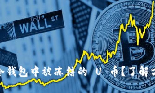 如何解冻冷钱包中被冻结的 U 币？了解方法与步骤