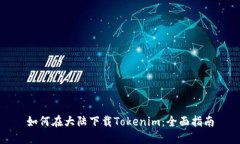 如何在大陆下载Tokenim：全