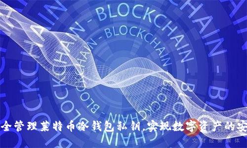 如何安全管理莱特币冷钱包私钥，实现数字资产的安全保护