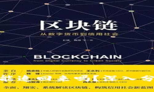 数字货币被骗能追回来吗？深入分析与实用建议