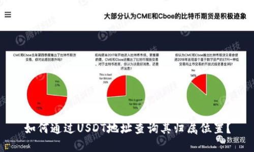 如何通过USDT地址查询其归属位置？