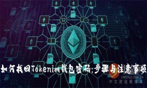 如何找回Tokenim钱包密码：步骤与注意事项