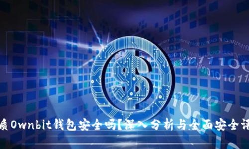 优质Ownbit钱包安全吗？深入分析与全面安全评测