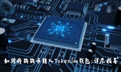 如何将狗狗币转入Tokenim钱包：详尽指导