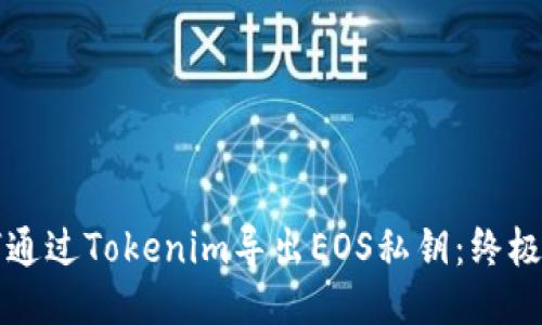 如何通过Tokenim导出EOS私钥：终极指南