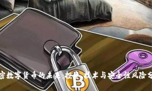 加密数字货币的未来：投资、技术与安全性风险分析