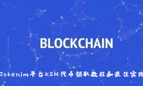 Tokenim平台KSM代币领取教程和最佳实践