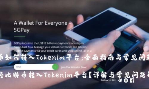 比特币如何转入Tokenim平台：全面指南与常见问题解答

如何将比特币转入Tokenim平台？详解与常见问题解答