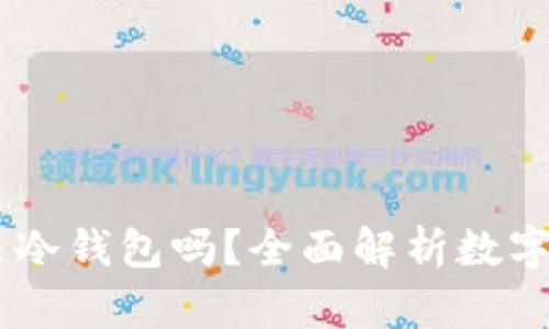 Trust Wallet是冷钱包吗？全面解析数字资产存储安全性